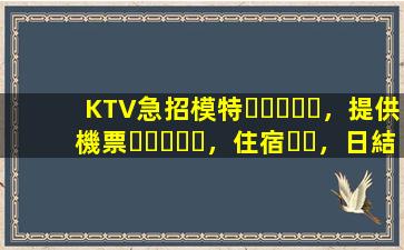 KTV急招模特，提供機票，住宿，日結
